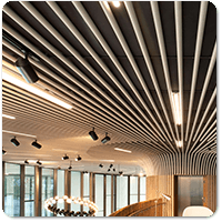 image for Linear & Tubular Ceilings