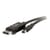C2G Mini DisplayPort to DisplayPort Adapter Cable - DisplayPort cable - Mini DisplayPort (M) to DisplayPort (M) - 2 m - black