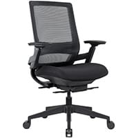 Ergonomic Mesh Office Chair with Adjustable Lumbar Support & Arms Black