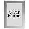 Silver Frame